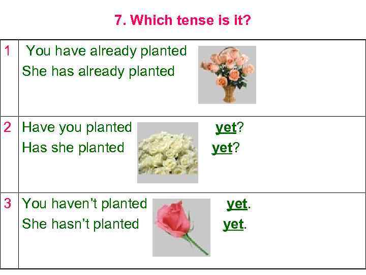 7. Which tense is it? 1 You have already planted She has already planted