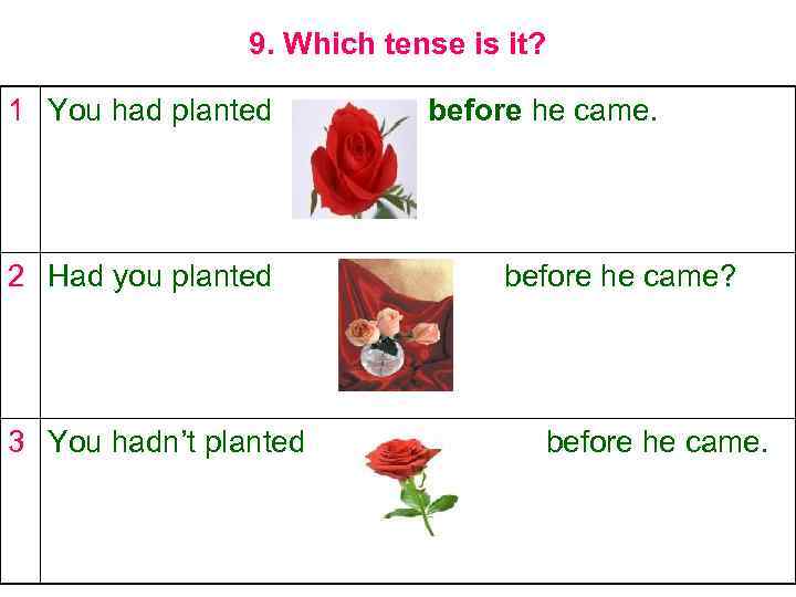 9. Which tense is it? 1 You had planted 2 Had you planted 3