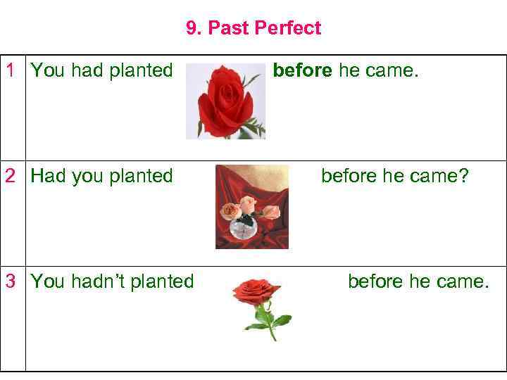 9. Past Perfect 1 You had planted 2 Had you planted 3 You hadn’t