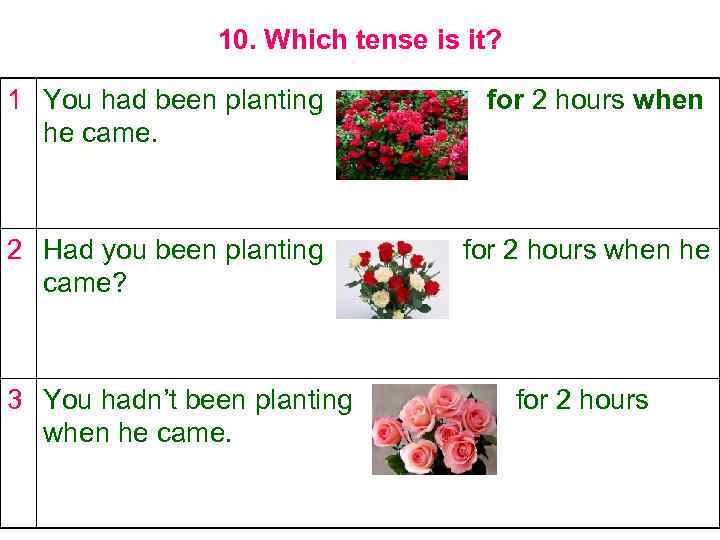 10. Which tense is it? 1 You had been planting he came. for 2