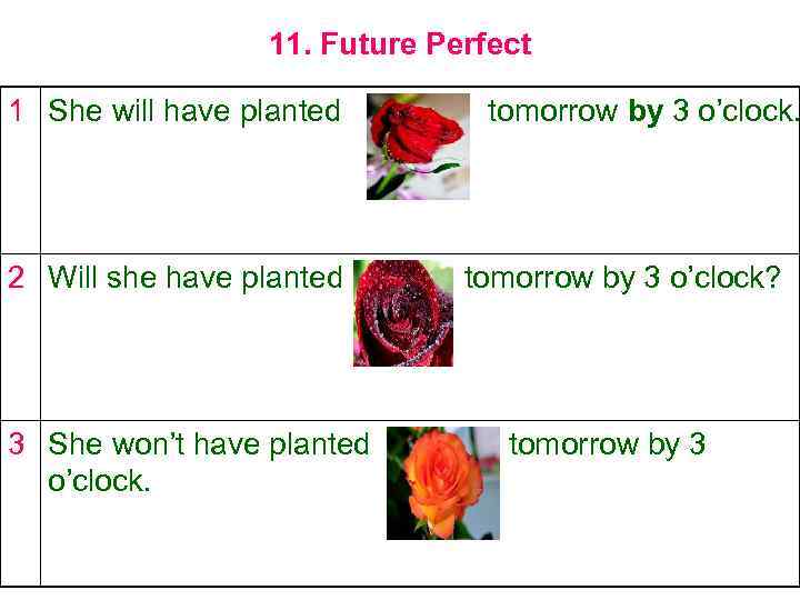 11. Future Perfect 1 She will have planted 2 Will she have planted 3