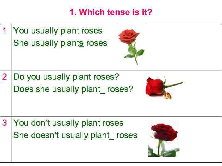 1. Which tense is it? 1 You usually plant roses She usually plants roses