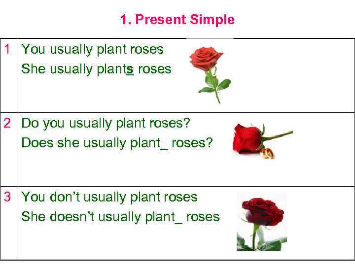 1. Present Simple 1 You usually plant roses She usually plants roses 2 Do