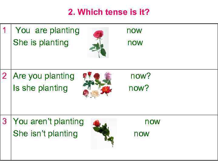 2. Which tense is it? 1 You are planting She is planting 2 Are