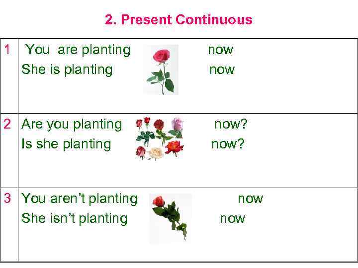 2. Present Continuous 1 You are planting She is planting 2 Are you planting