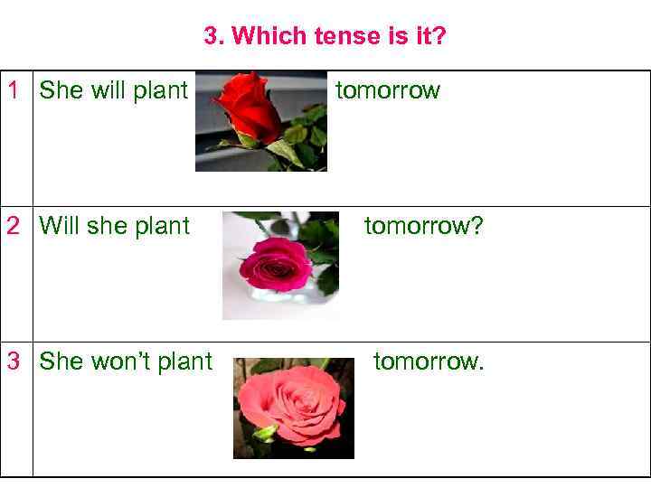 3. Which tense is it? 1 She will plant 2 Will she plant 3