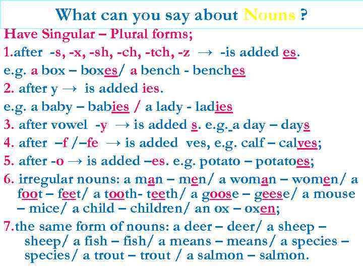 What can you say about Nouns ? Have Singular – Plural forms; 1. after