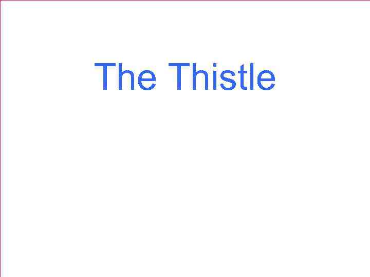 The Thistle 