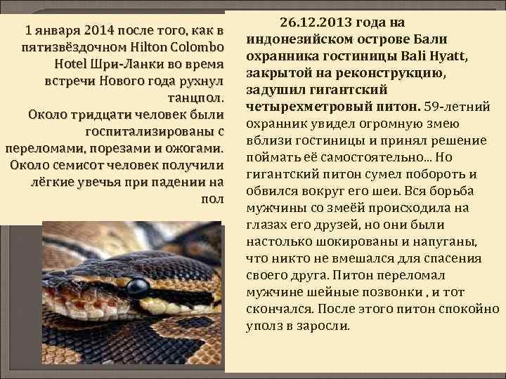 1 января 2014 после того, как в пятизвёздочном Hilton Colombo Hotel Шри-Ланки во время