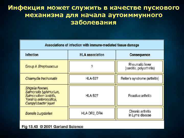 Инфекция может служить в качестве пускового механизма для начала аутоиммунного заболевания 