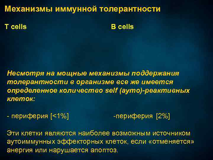 Механизмы иммунной толерантности T cells B cells Несмотря на мощные механизмы поддержания толерантности в