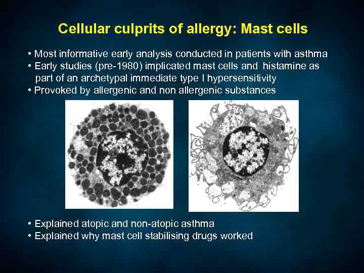 Cellular culprits of allergy: Mast cells • Most informative early analysis conducted in patients