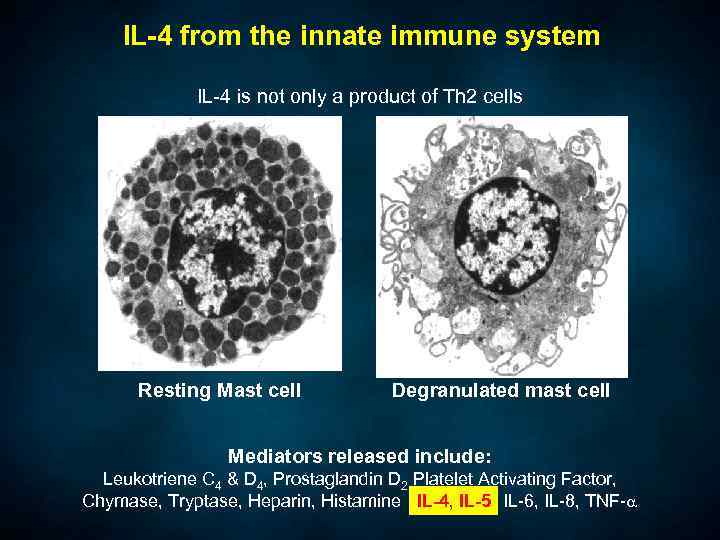 IL-4 from the innate immune system IL-4 is not only a product of Th