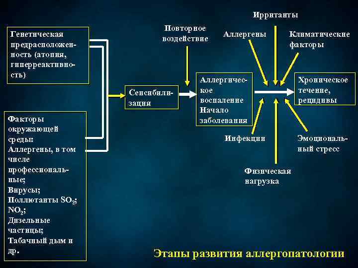 Ирританты Генетическая предрасположенность (атопия, гиперреактивность) Повторное воздействие Сенсибилизация Факторы окружающей среды: Аллергены, в том