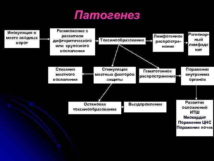 Патогенез Инокуляция в месте входных ворот Размножение с развитием дифтеритического или крупозного воспаления Стихание