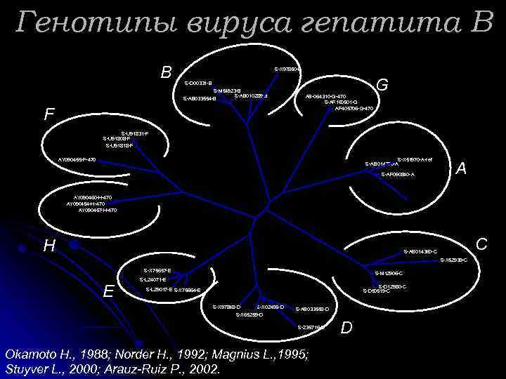 Генотипы вируса гепатита В B S-X 97850 -B G S-D 00331 -B S-M 54923