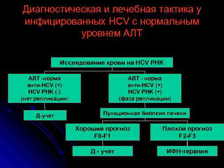 Диагностическая и лечебная тактика у инфицированных HCV с нормальным уровнем АЛТ Исследование крови на