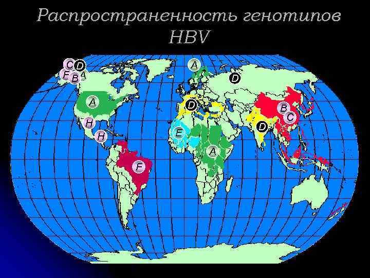 Распространенность генотипов HBV CD F BA A D H D E H A F