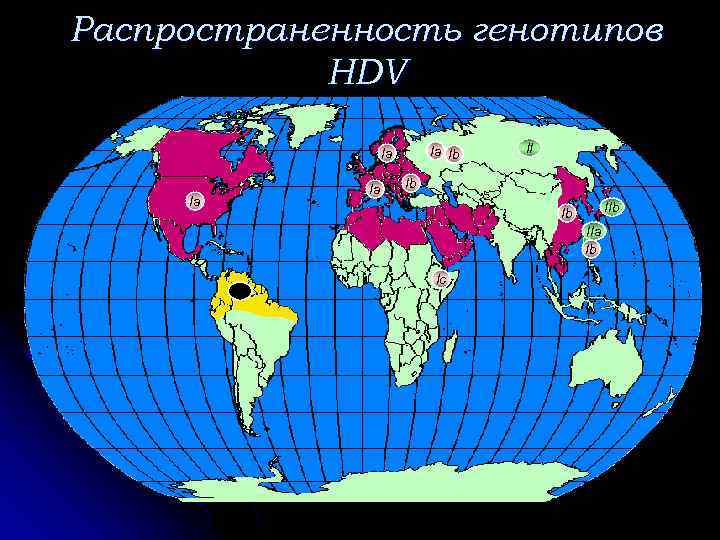 Распространенность генотипов HDV Ia Ib Ia Ia Ia II Ib Ib IIa Ib III