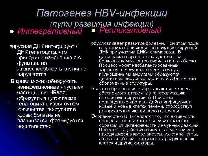 Патогенез НВV-инфекции l (пути развития инфекции) Интегративный l Репликативный обусловливает развитие болезни. При этом