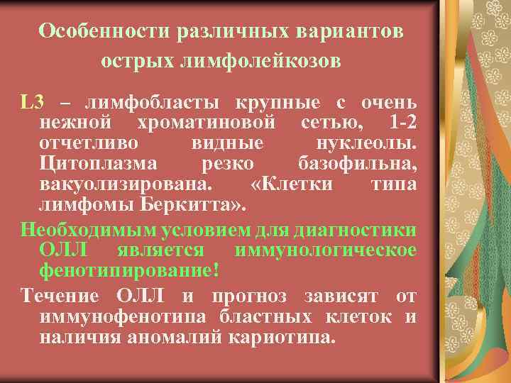 Особенности различных вариантов острых лимфолейкозов L 3 – лимфобласты крупные с очень нежной хроматиновой