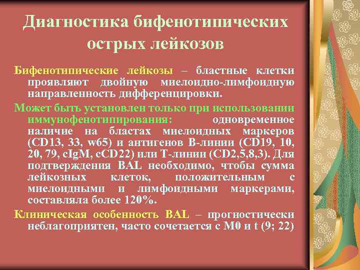 Диагностика бифенотипических острых лейкозов Бифенотипические лейкозы – бластные клетки проявляют двойную миелоидно-лимфоидную направленность дифференцировки.