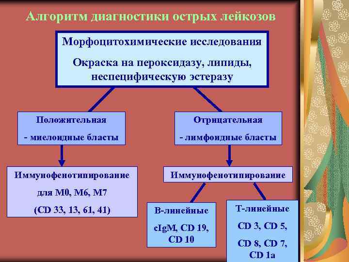 Алгоритм диагностики острых лейкозов Морфоцитохимические исследования Окраска на пероксидазу, липиды, неспецифическую эстеразу Положительная Отрицательная