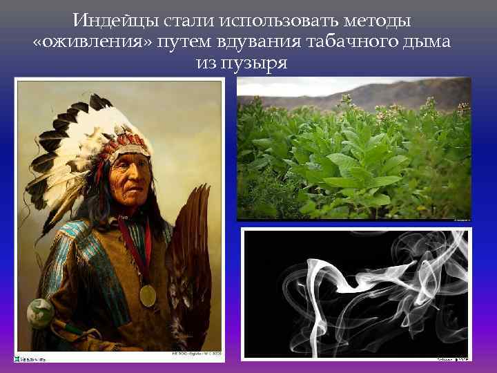 Индейцы стали использовать методы «оживления» путем вдувания табачного дыма из пузыря 
