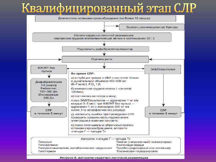 Протокол слр у взрослых образец