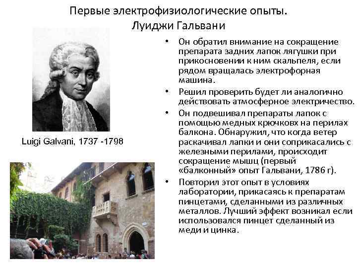 Первые электрофизиологические опыты. Луиджи Гальвани Luigi Galvani, 1737 -1798 • Он обратил внимание на