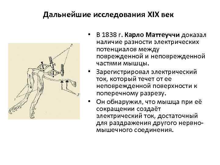 Дальнейшие исследования XIX век • В 1838 г. Карло Маттеуччи доказал наличие разности электрических