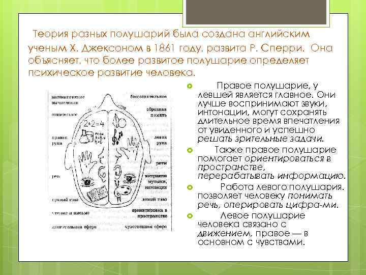 Теория разных полушарий была создана английским ученым X. Джексоном в 1861 году, развита Р.