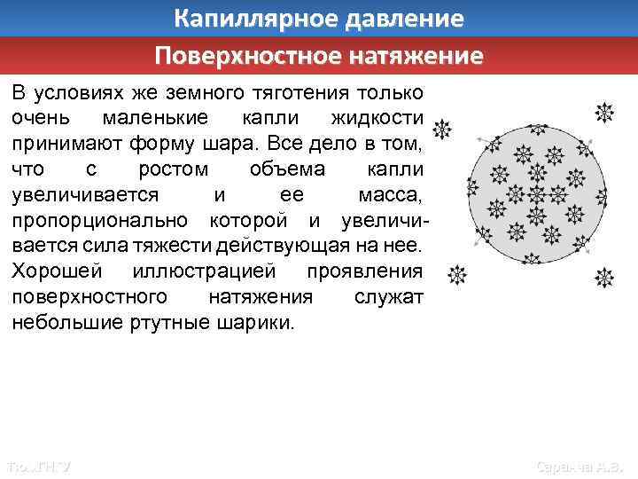 Капиллярное давление Поверхностное натяжение В условиях же земного тяготения только очень маленькие капли жидкости