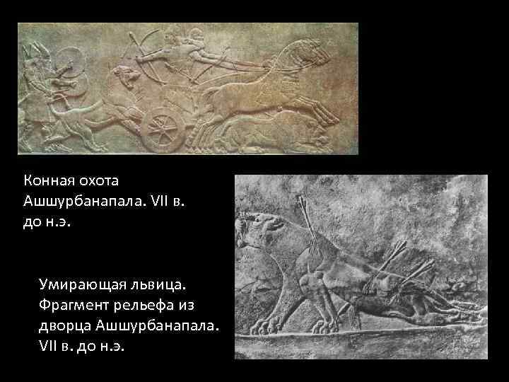 Конная охота Ашшурбанапала. VII в. до н. э. Умирающая львица. Фрагмент рельефа из дворца