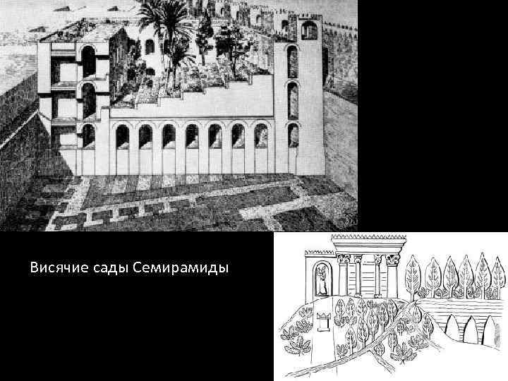 Висячие сады Семирамиды 