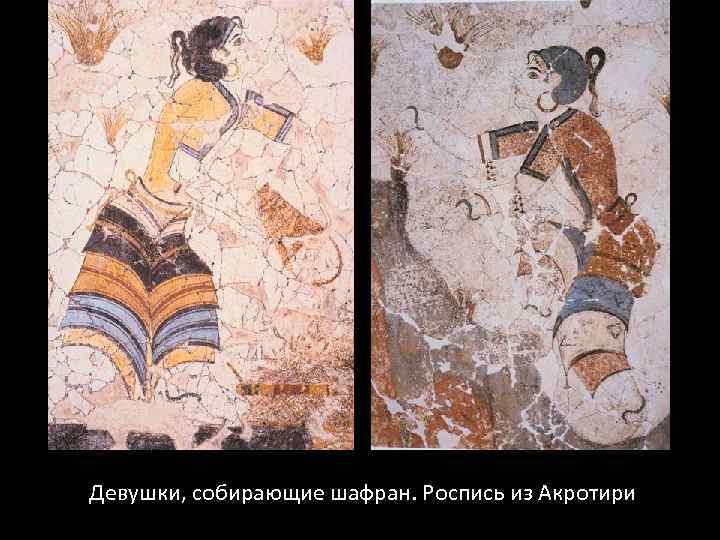 Девушки, собирающие шафран. Роспись из Акротири 