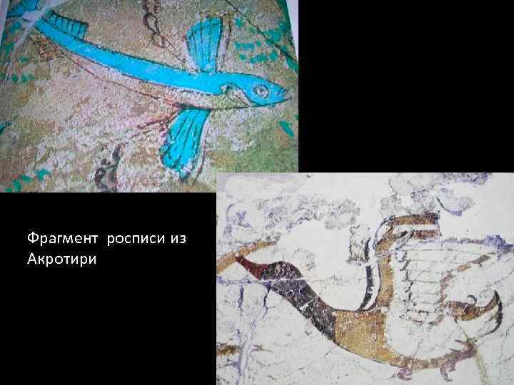 Фрагмент росписи из Акротири 