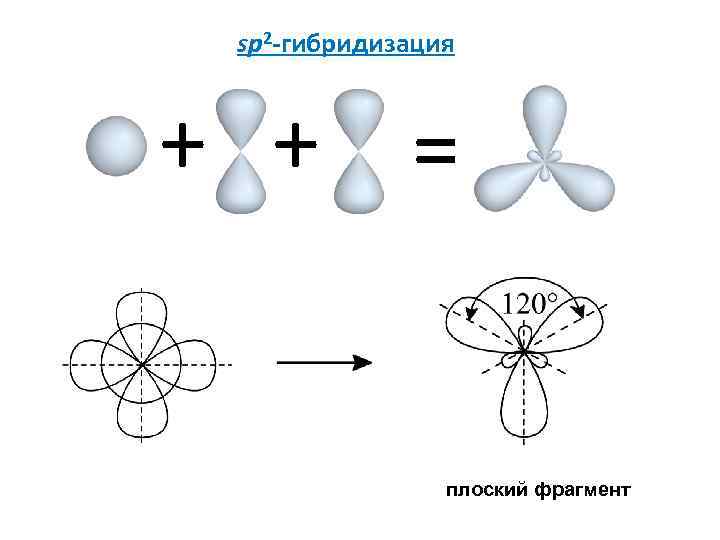 sp 2 -гибридизация + + = плоский фрагмент 