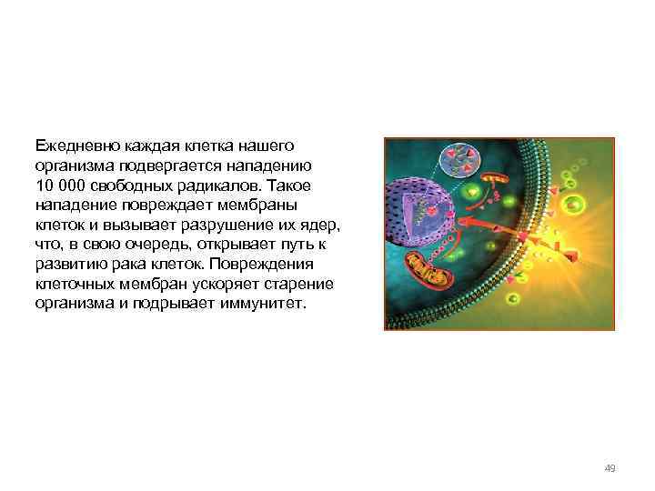 Ежедневно каждая клетка нашего организма подвергается нападению 10 000 свободных радикалов. Такое нападение повреждает