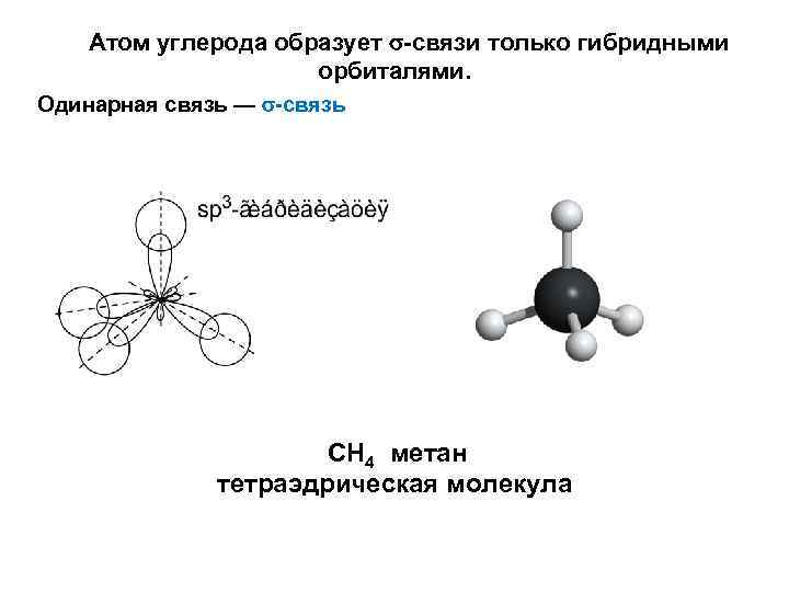 Какая связь между атомами углерода