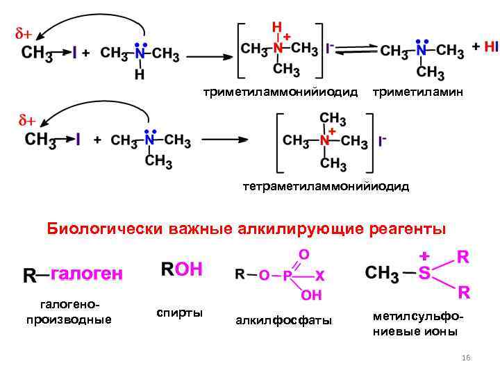триметиламмонийиодид триметиламин тетраметиламмонийиодид Биологически важные алкилирующие реагенты галогенопроизводные спирты алкилфосфаты метилсульфониевые ионы 16 