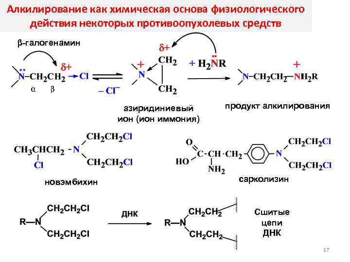 Алкилирование как химическая основа физиологического действия некоторых противоопухолевых средств β-галогенамин α β азиридиниевый ион