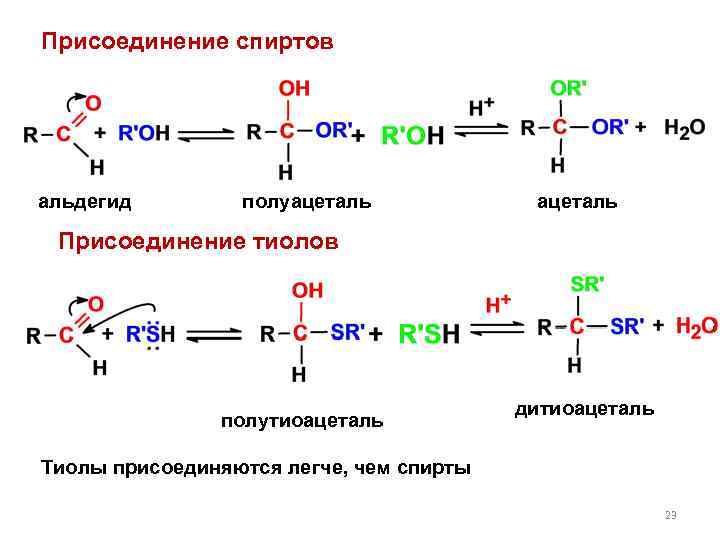 Присоединение спиртов альдегид полуацеталь Присоединение тиолов полутиоацеталь дитиоацеталь Тиолы присоединяются легче, чем спирты 23