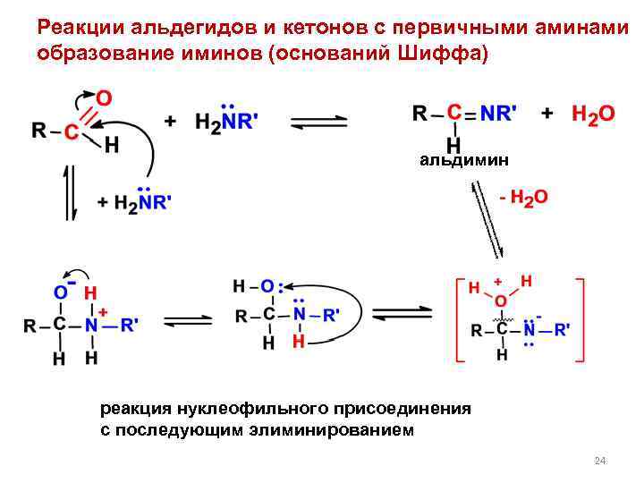 Реакции альдегидов и кетонов с первичными аминами образование иминов (оснований Шиффа) альдимин реакция нуклеофильного