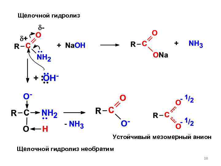 Щелочной гидролиз Устойчивый мезомерный анион Щелочной гидролиз необратим 28 