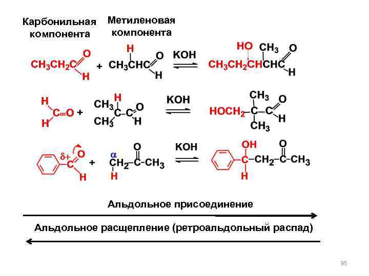 Карбонильная компонента Метиленовая компонента Альдольное присоединение Альдольное расщепление (ретроальдольный распад) 35 