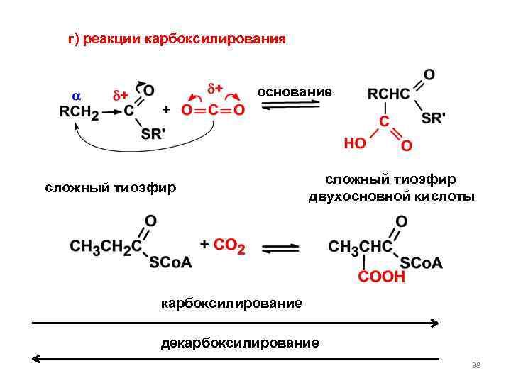 г) реакции карбоксилирования основание сложный тиоэфир двухосновной кислоты карбоксилирование декарбоксилирование 38 