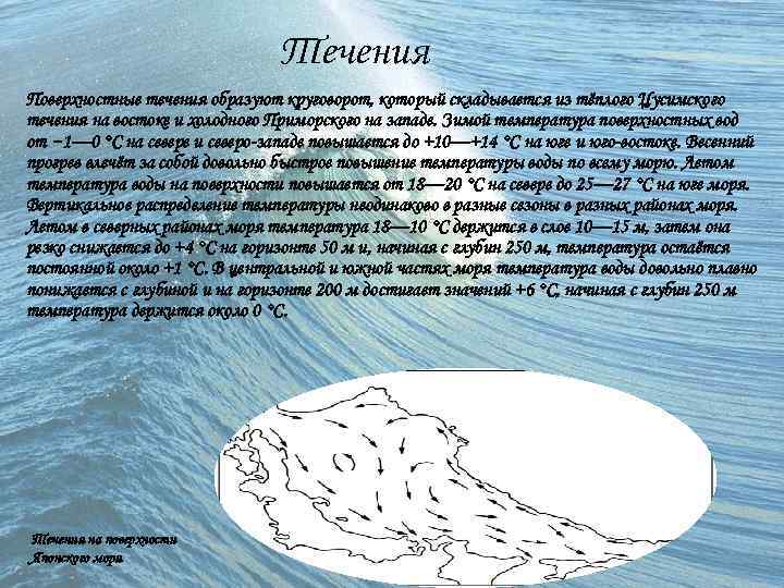 Течения Поверхностные течения образуют круговорот, который складывается из тёплого Цусимского течения на востоке и