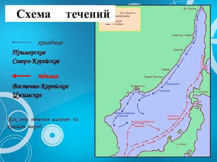 Схема течений холодные Приморское Северо-Корейское тёплые Восточно-Корейское Цусимское Как эти течения влияют на климат