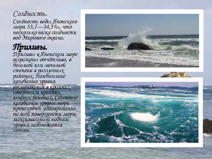 Солёность. Солёность воды Японского моря 33, 7— 34, 3‰, что несколько ниже солёности вод